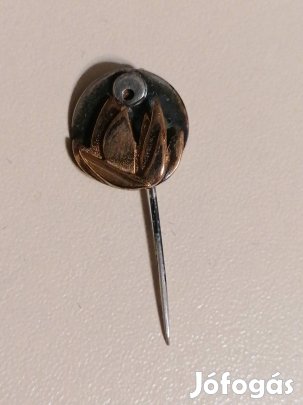 régi antik kitűző