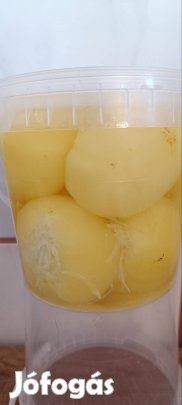 savanyúság, káposztával töltött csípős almapaprika