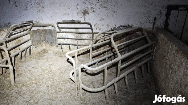 sertés fiaztató batéria 