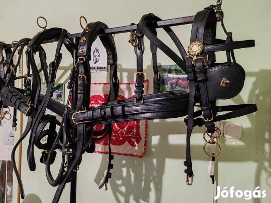 shetlandi póni páros szerszámot keresek. 