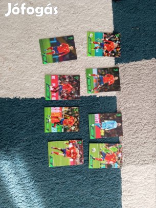 spanyol focist kártya