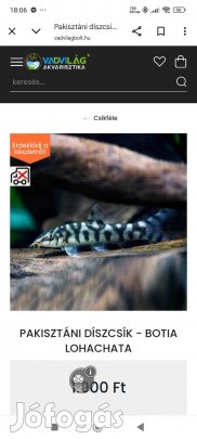 sügerek,vitorlások ,harcsák algázók!