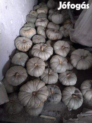 sütőtök állatok etetésére eladó Győr 