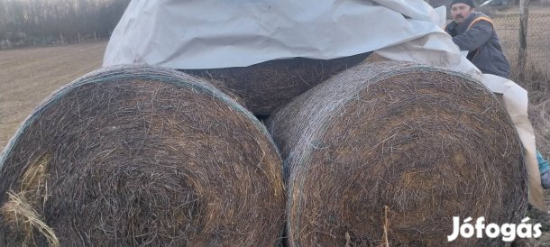 szalas takarmany