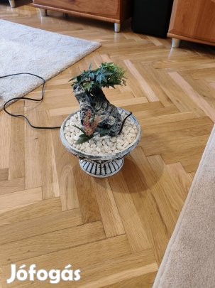 szobai csobogó kisméretű 