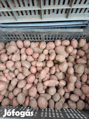 takarmány burgonya eladó 
