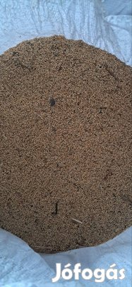 takarmány köles eladó