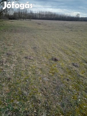 terület eladó 