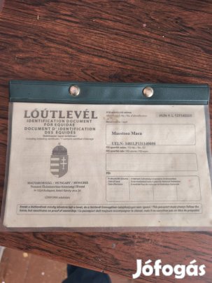 tiszta verü lipicai kanca es herelt