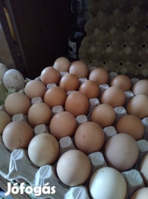tojás eladó tanyasi tojás eladó