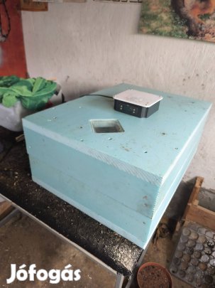 tojás keltető eladó kettő db 