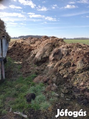 trágya eladó vas megye Sárvár kőrnyéken szállítással kB 15 pótkocsi