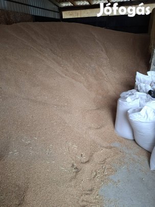 tritikálé nagyobb tételben 68 ft