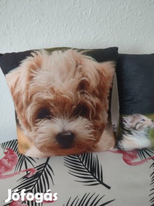 új párna kutyusos