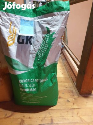vetőmag kukorica