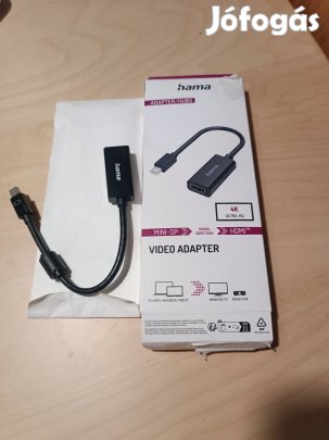 video adapter Hama 