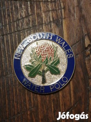 vízilabda Dél Wels jelvény 