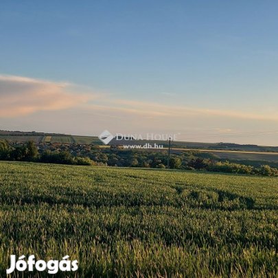 zártkerti telek nagyon csendes helyen eladó